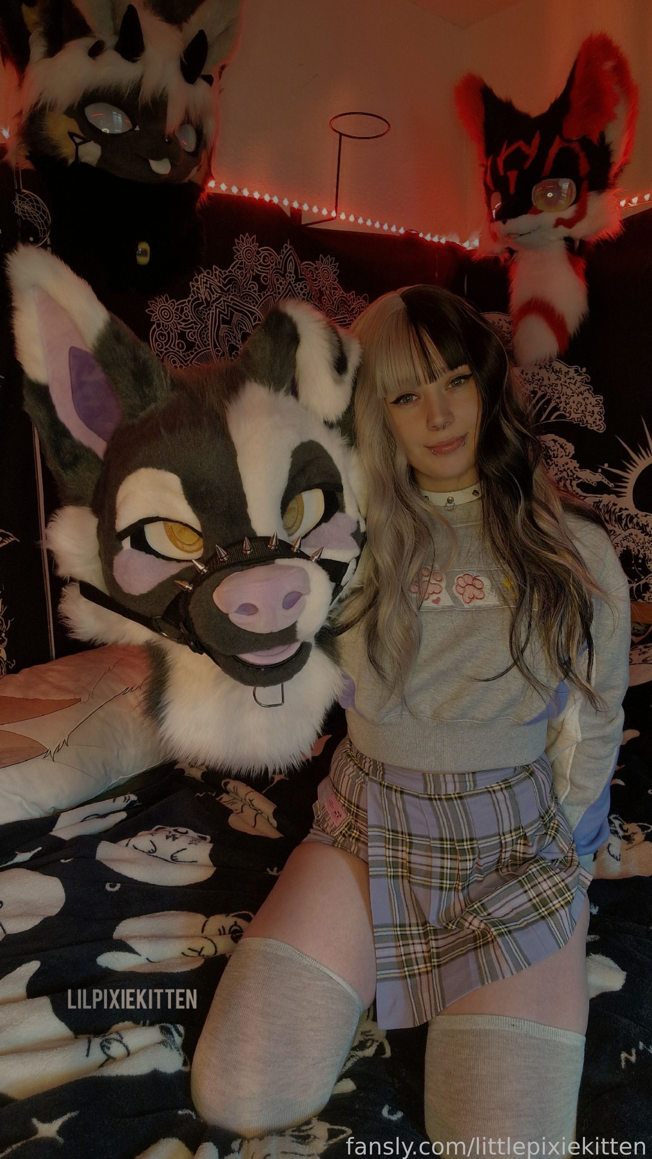 LilPixieKitten