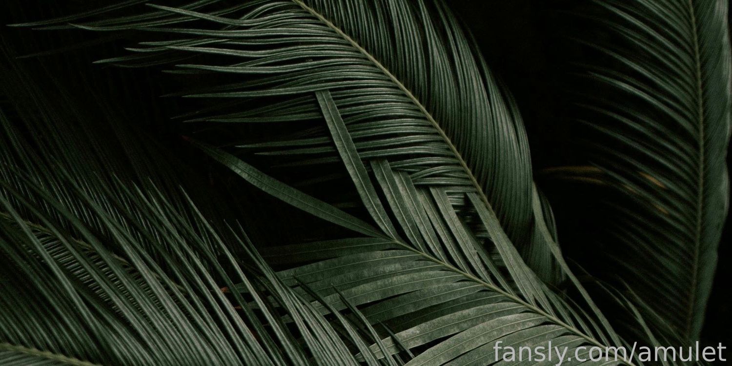 Fansly banner for @amulet