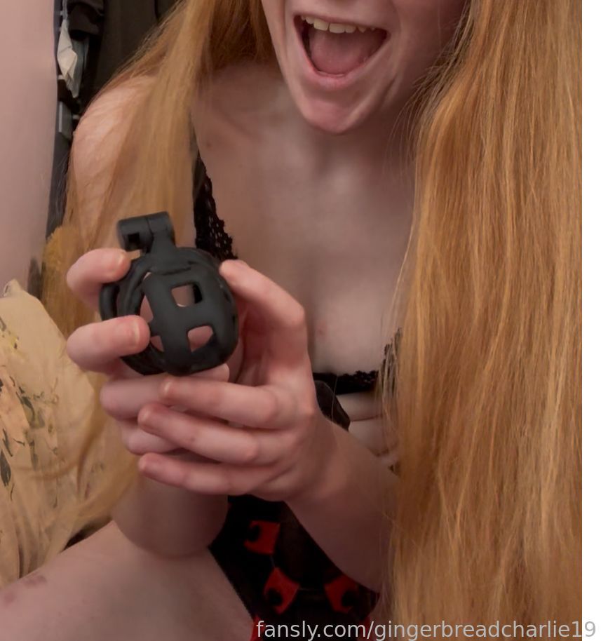gingerbreadcharlie19