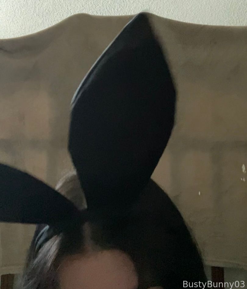 Bunny