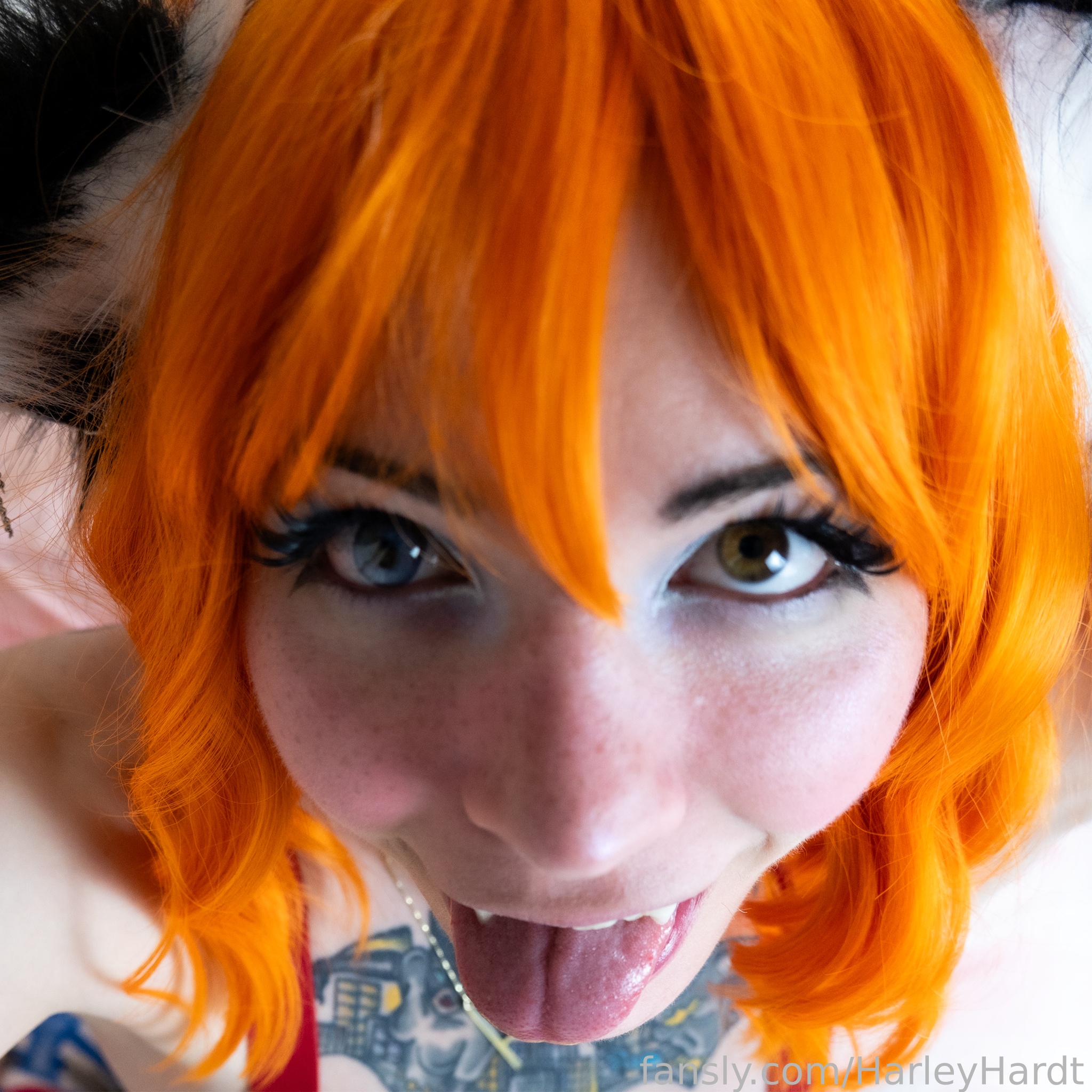 Harley Hardt