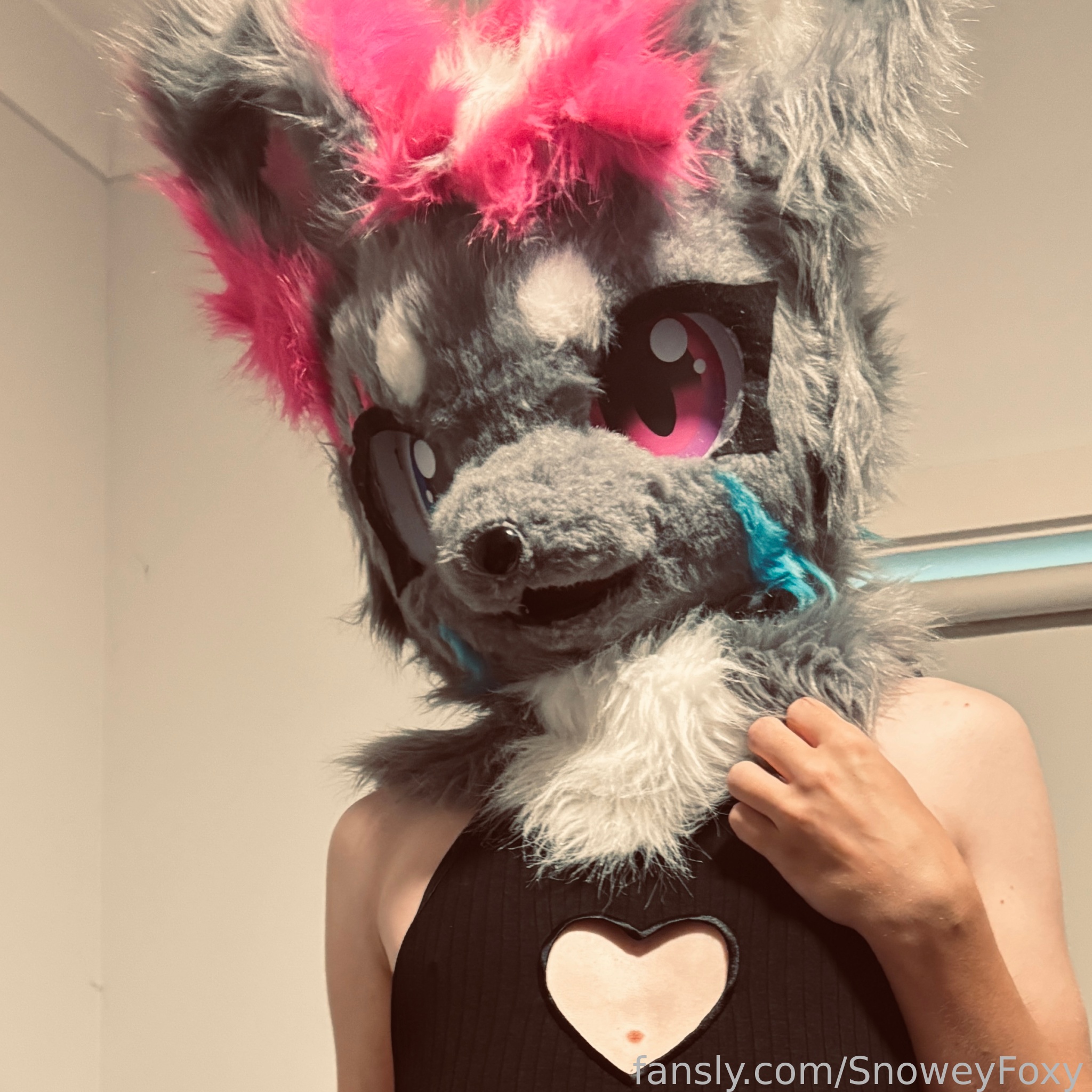 SnoweyFoxy