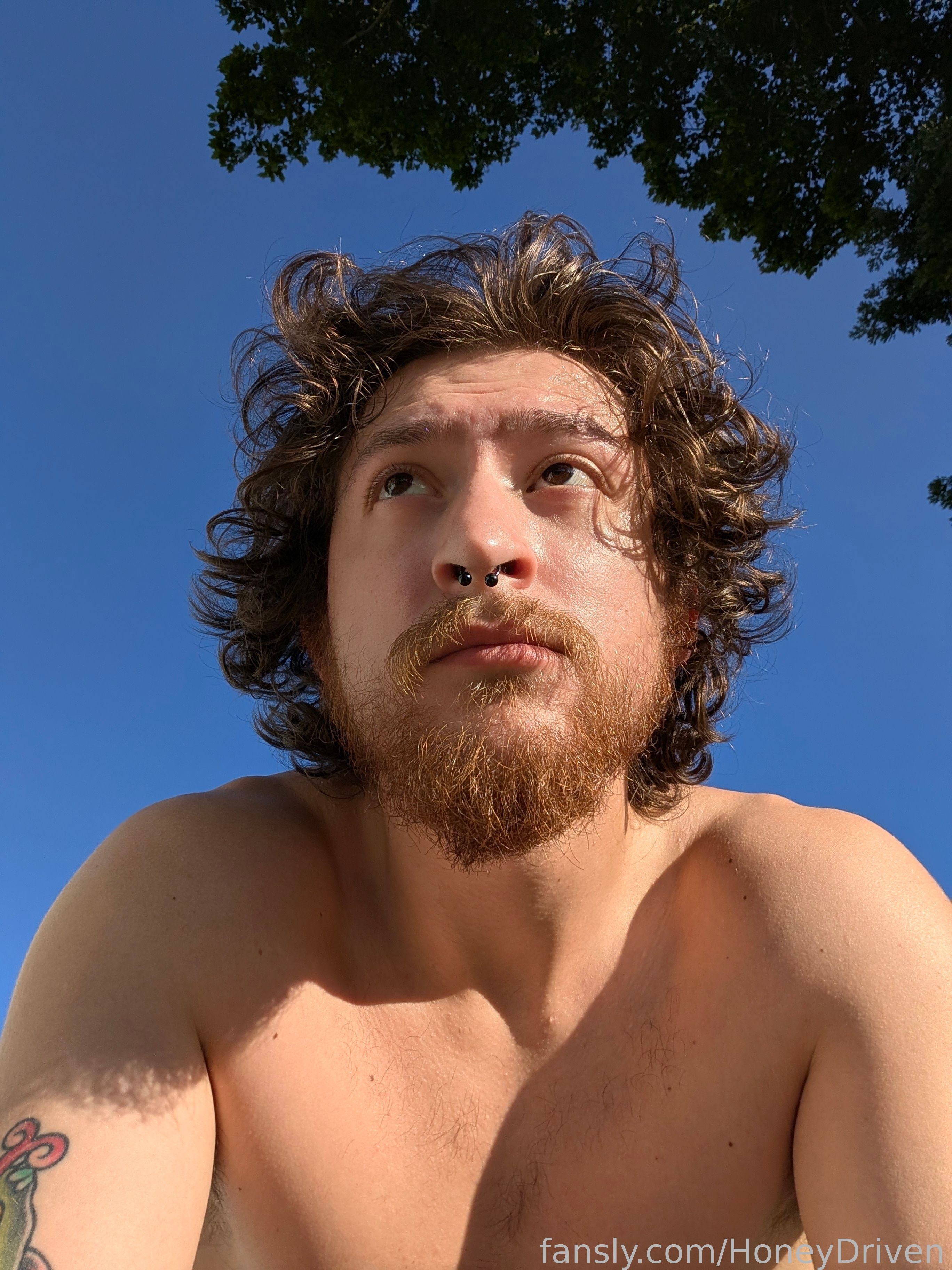 HoneyDriven