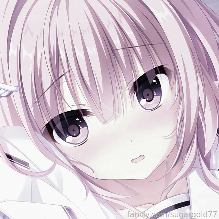lily