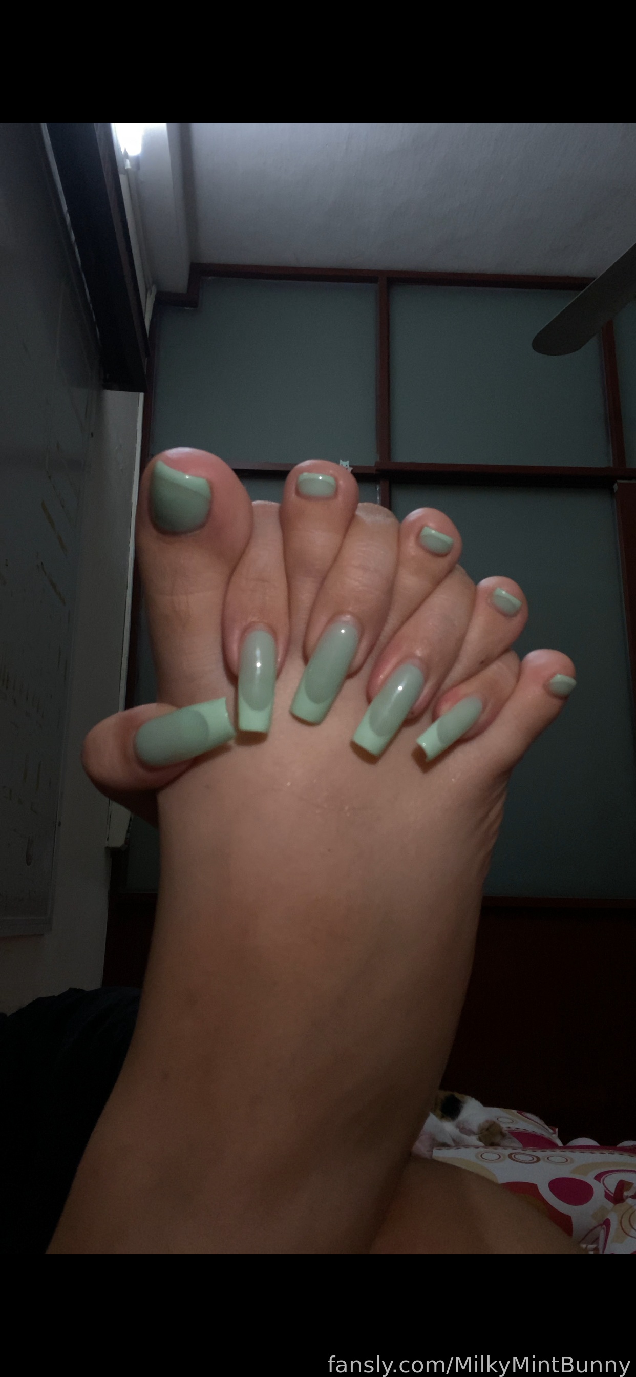 Mint Bunny